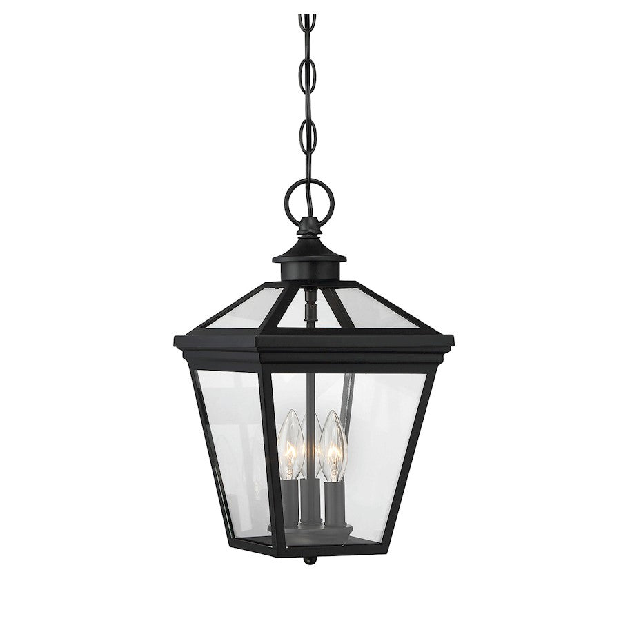 Savoy House Ellijay 3-Light Outdoor Hanging Lantern, Black