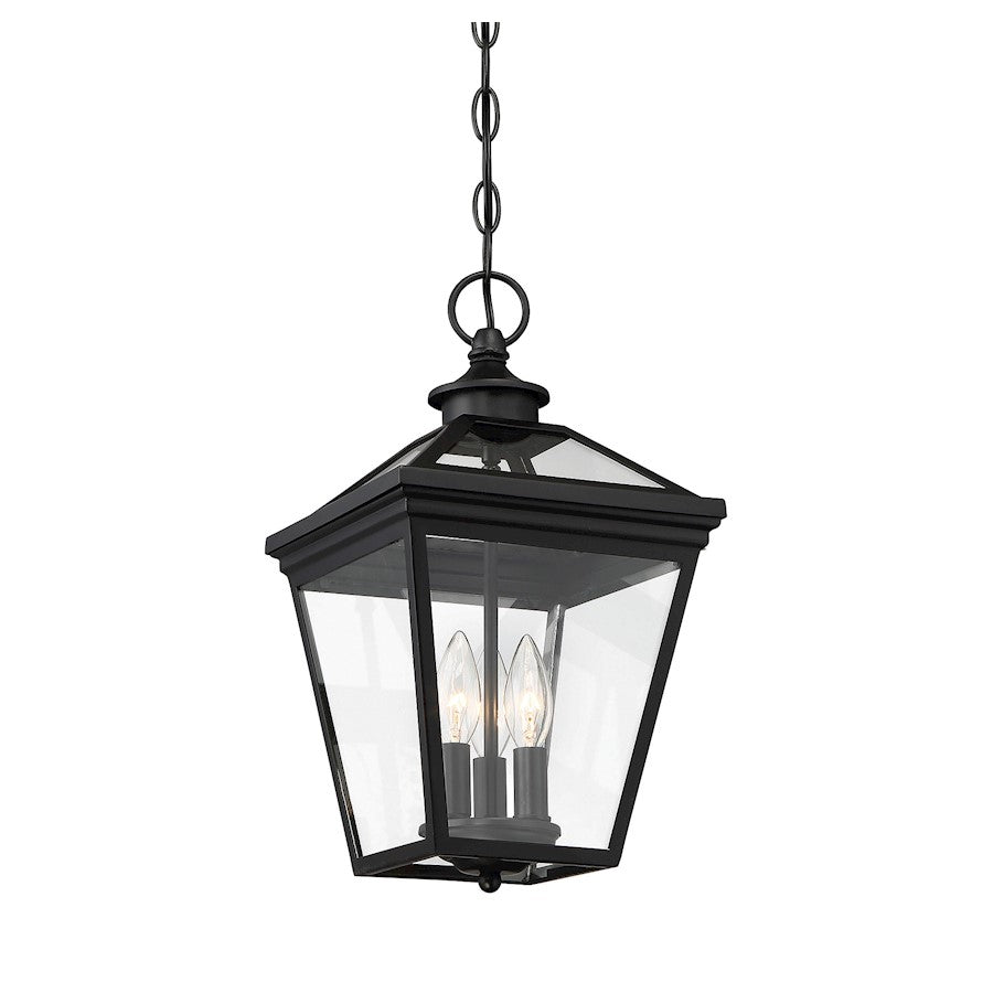 Savoy House Ellijay 3-Light Outdoor Hanging Lantern, Black