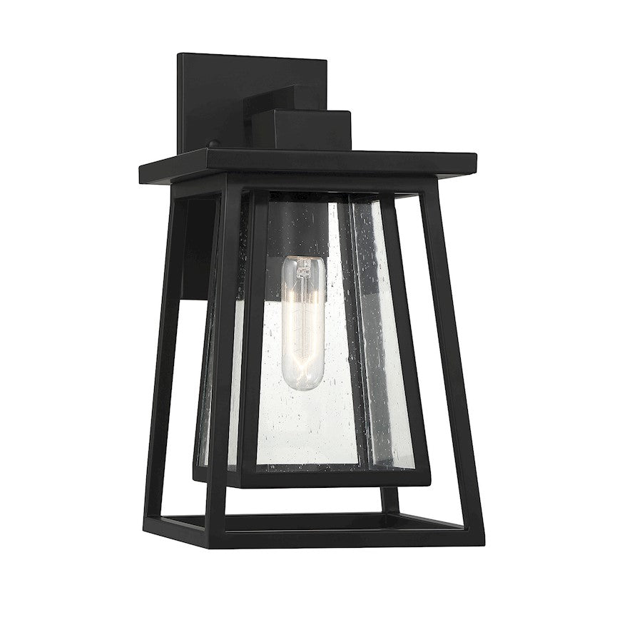 1 Light 11" Outdoor Wall Lantern