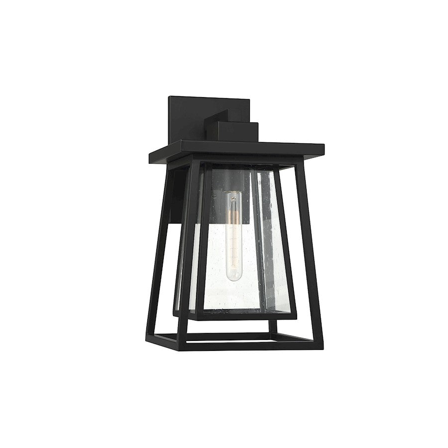 1 Light 11" Outdoor Wall Lantern