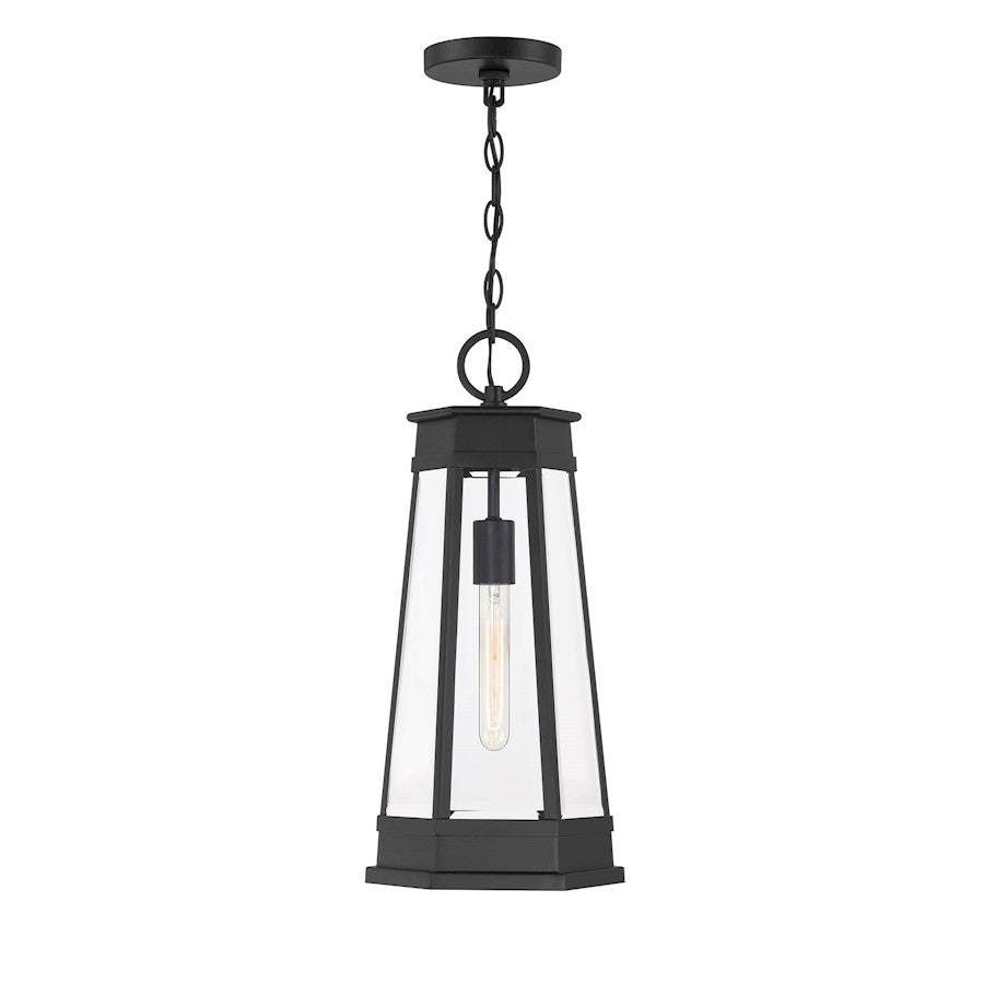 Savoy House Payne 1Lt Outdoor Hanging Lantern, Black/Clear Beveled - 5-208-BK