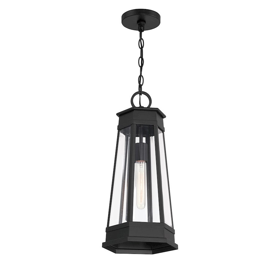 Savoy House Payne 1Lt Outdoor Hanging Lantern, Black/Clear Beveled