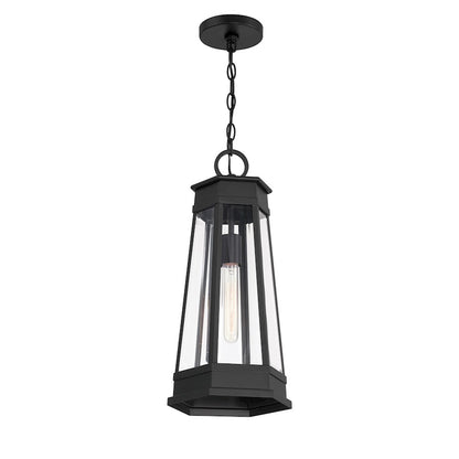 Savoy House Payne 1Lt Outdoor Hanging Lantern, Black/Clear Beveled