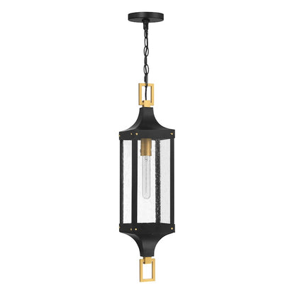 Savoy House Glendale 1Lt Outdoor Hanging Lantern, Black/Brass/Seeded