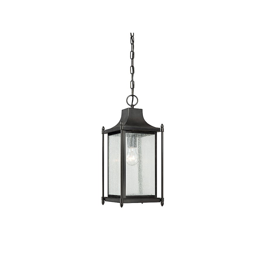 Savoy House Dunnmore 1-Light Outdoor Hanging Lantern, Black - 5-3455-BK