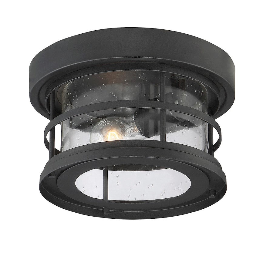 Savoy House Barrett 1-Light Outdoor Ceiling Light, Black