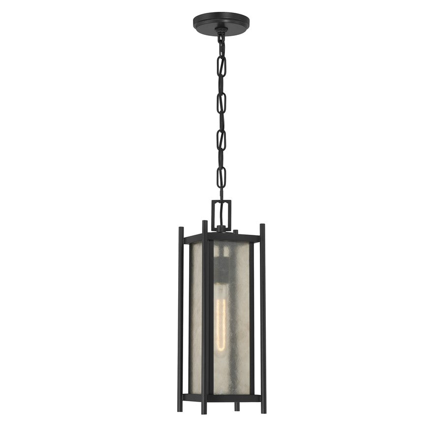 Savoy House Jacobs 1Lt Outdoor Hanging Lantern, Black/Clear - 5-3806-BK