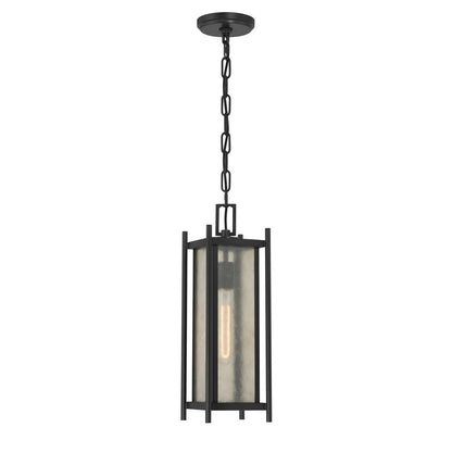 Savoy House Jacobs 1Lt Outdoor Hanging Lantern, Black/Clear