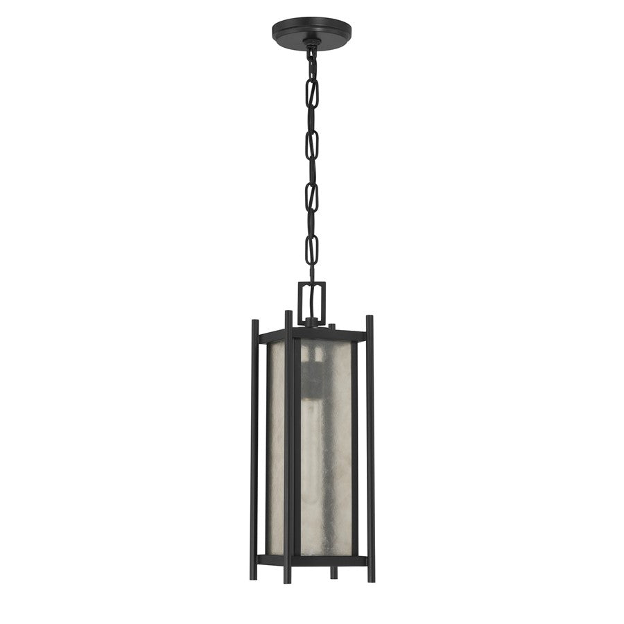 Savoy House Jacobs 1Lt Outdoor Hanging Lantern, Black/Clear