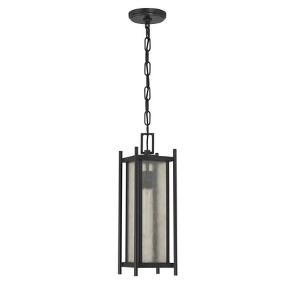 Savoy House Jacobs 1Lt Outdoor Hanging Lantern, Black/Clear