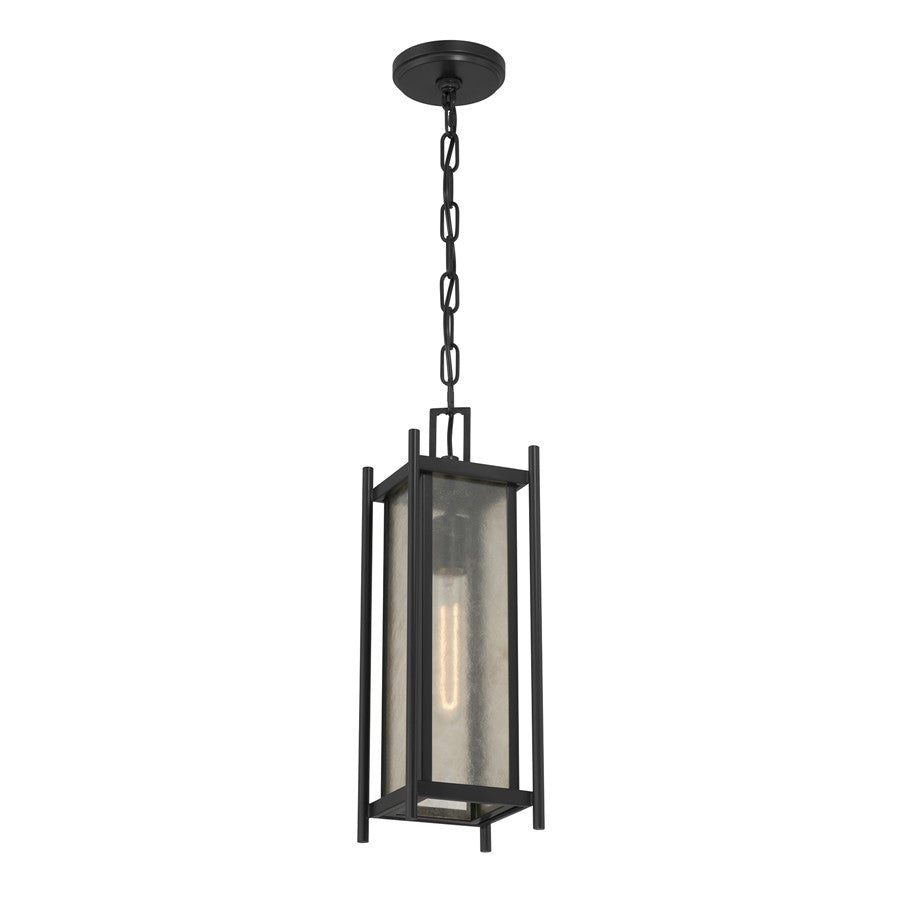 Savoy House Jacobs 1Lt Outdoor Hanging Lantern, Black/Clear