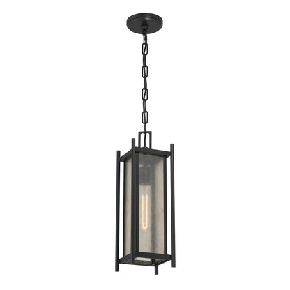 Savoy House Jacobs 1Lt Outdoor Hanging Lantern, Black/Clear