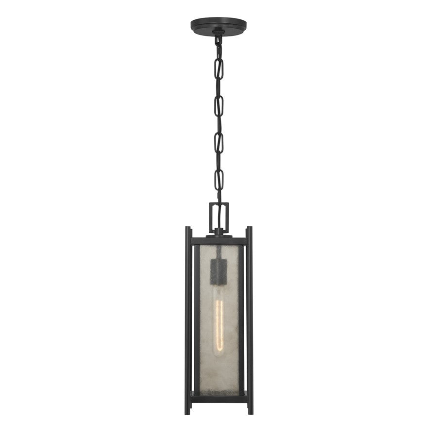 Savoy House Jacobs 1Lt Outdoor Hanging Lantern, Black/Clear