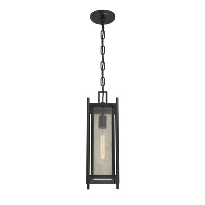 Savoy House Jacobs 1Lt Outdoor Hanging Lantern, Black/Clear