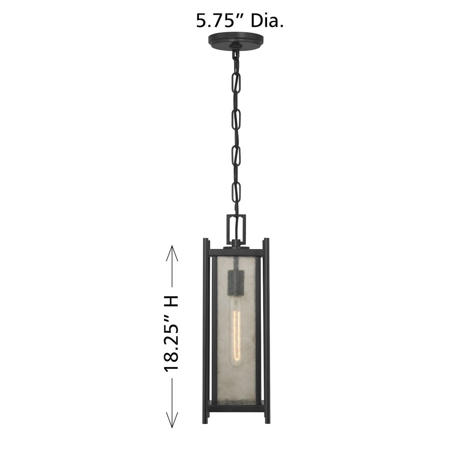 Savoy House Jacobs 1Lt Outdoor Hanging Lantern, Black/Clear