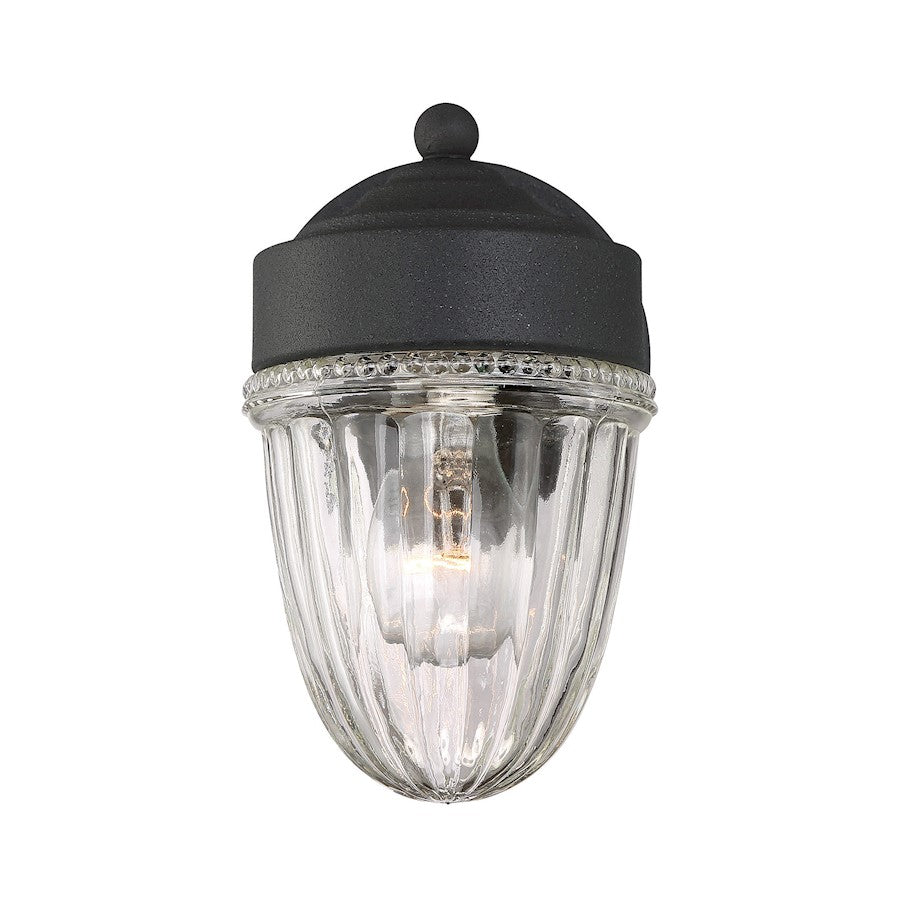 1 Light Wall Sconce