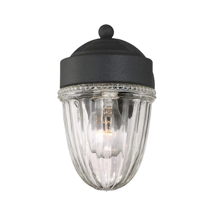1 Light Wall Sconce