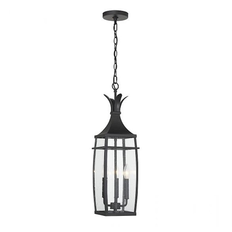 Savoy House Montpelier 3-Light Outdoor Hanging Lantern, Matte Black - 5-763-BK