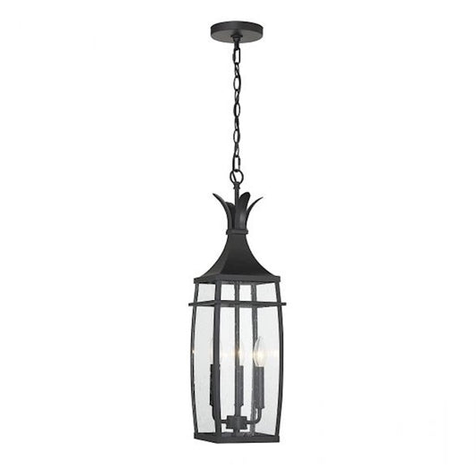Savoy House Montpelier 3 Light Outdoor Hanging Lantern, Black/Clear