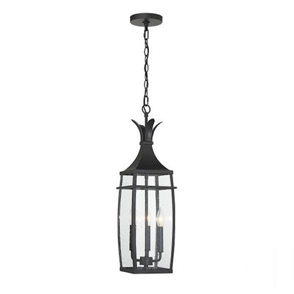 Savoy House Montpelier 3 Light Outdoor Hanging Lantern, Black/Clear