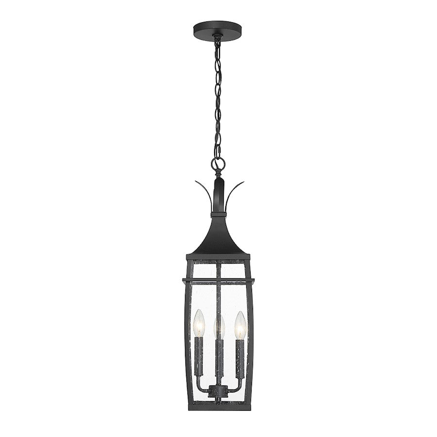 Savoy House Montpelier 3 Light Outdoor Hanging Lantern, Black/Clear
