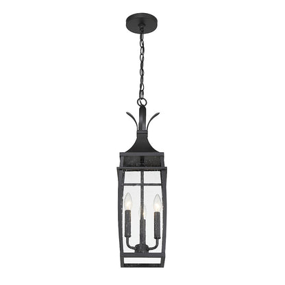 Savoy House Montpelier 3 Light Outdoor Hanging Lantern, Black/Clear
