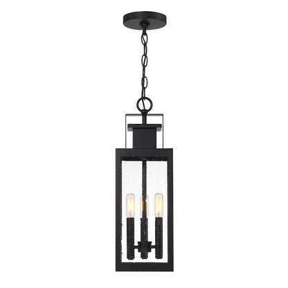 Savoy House Ascott 3Lt Outdoor Hanging Lantern, Black/Clear Seeded