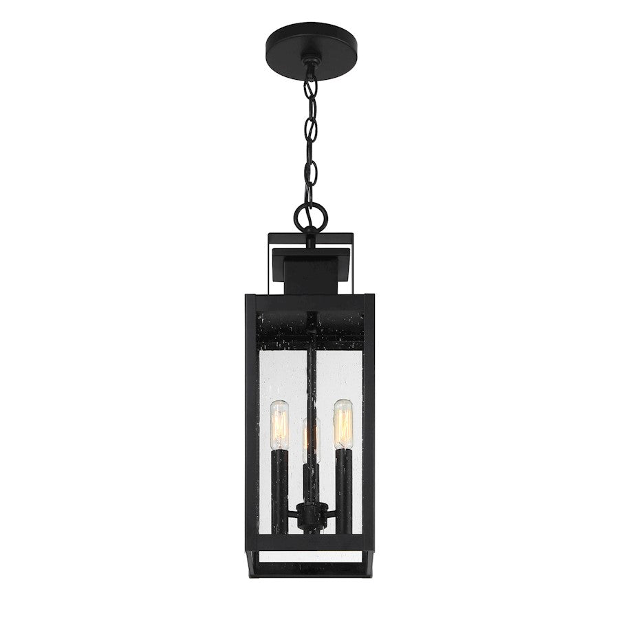 Savoy House Ascott 3-Light Outdoor Hanging Lantern, Matte Black