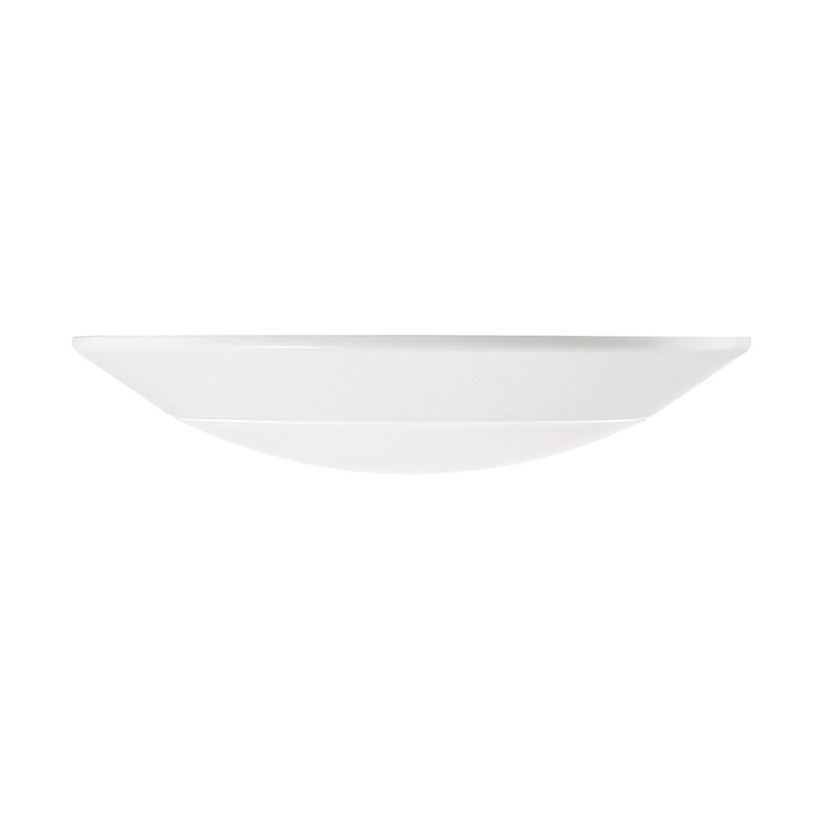 Savoy Essentials 1 Light LED Disc Light, BK/WH/BZ