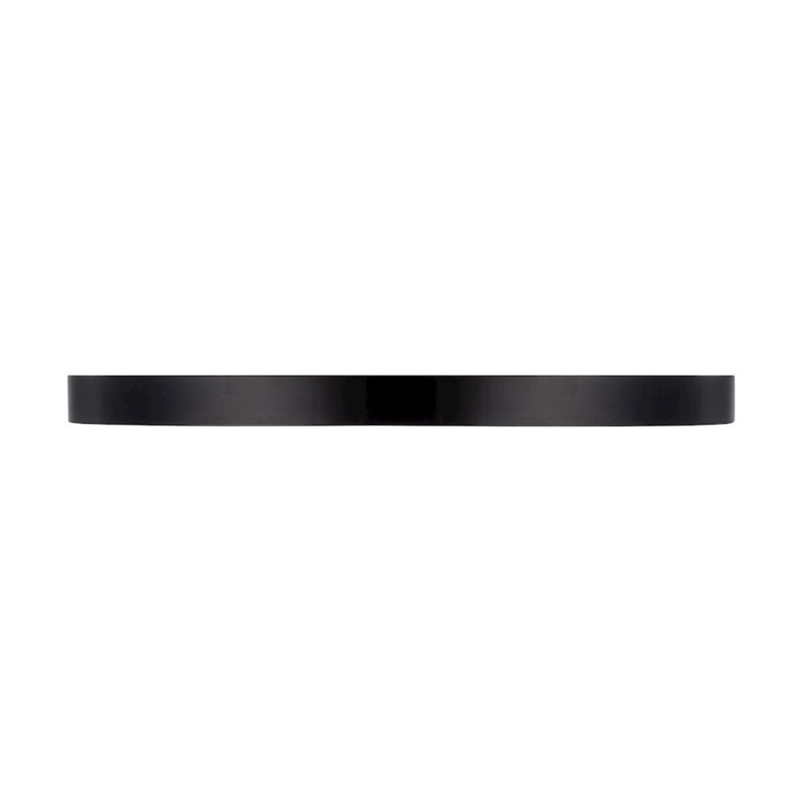 Essentials 1 Light 12" LED Flush Mount, Black/Clear