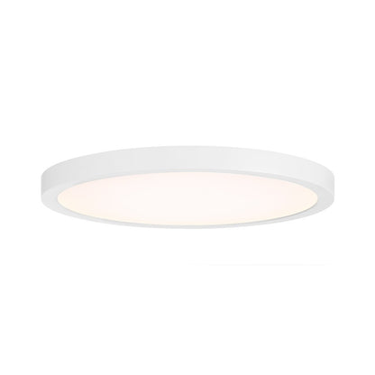 Essentials 1 Light 12" LED Flush Mount, White/Clear
