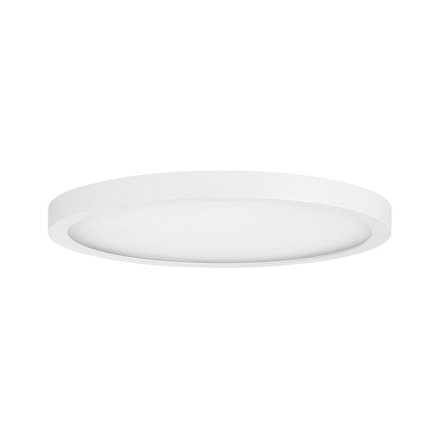 Essentials 1 Light 12" LED Flush Mount, White/Clear