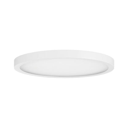Essentials 1 Light 12" LED Flush Mount, White/Clear