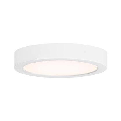 Essentials 1 Light 5" LED Flush Mount, White/Clear