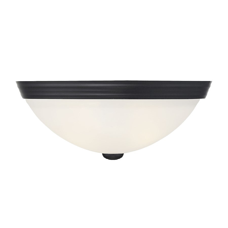 Savoy House 2-Light 13" Ceiling Light, Matte Black/Etched - 6-780-13-BK