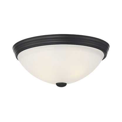 Savoy House 2-Light Flush Mount