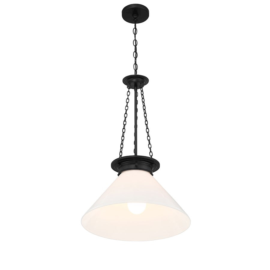 1 Light Pendant, Matte Black