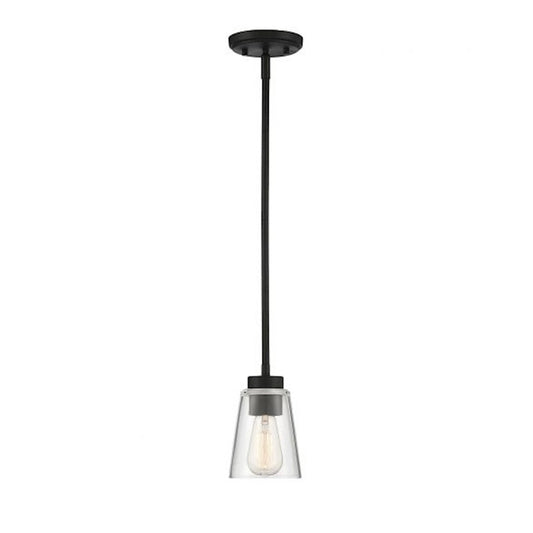 1 Light Mini Pendant, Matte Black