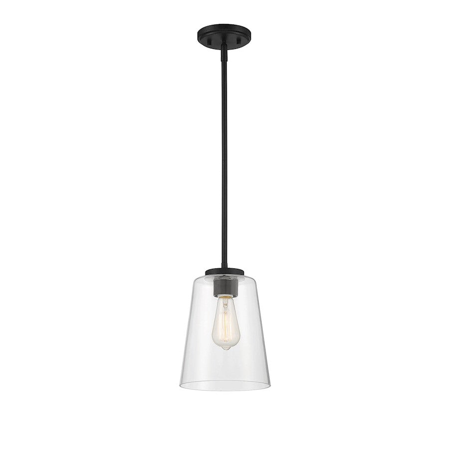 1 Light Pendant, Matte Black