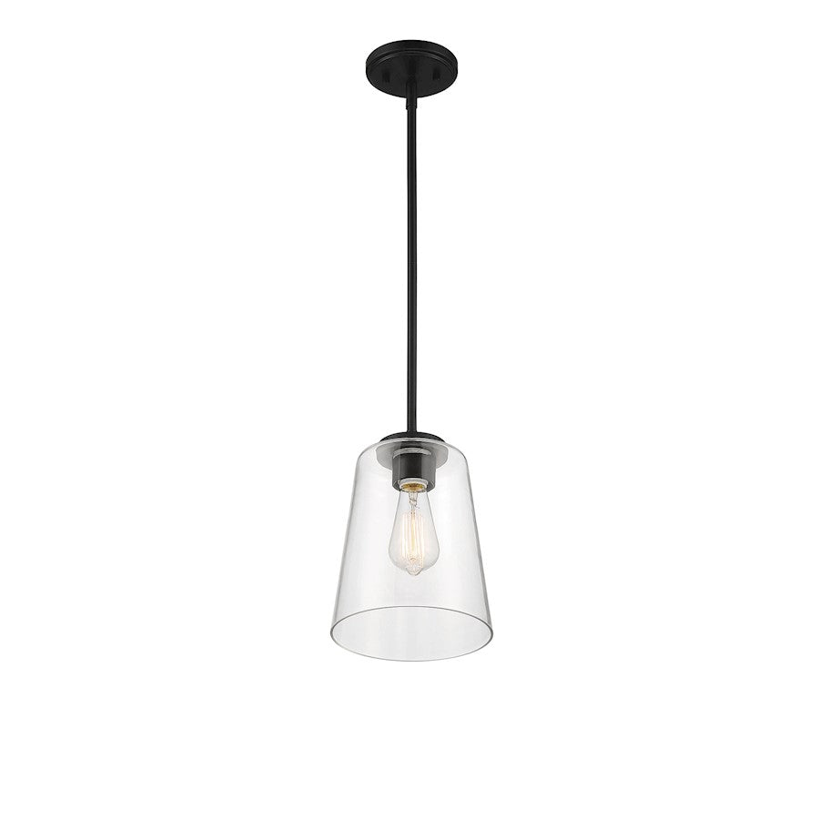 1 Light Pendant, Matte Black