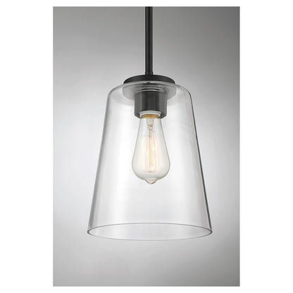 1 Light Pendant, Matte Black