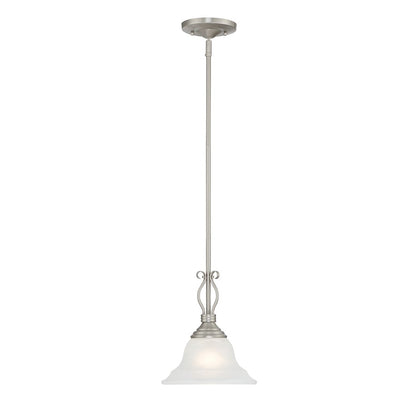 1 Light Mini Pendant, Pewter