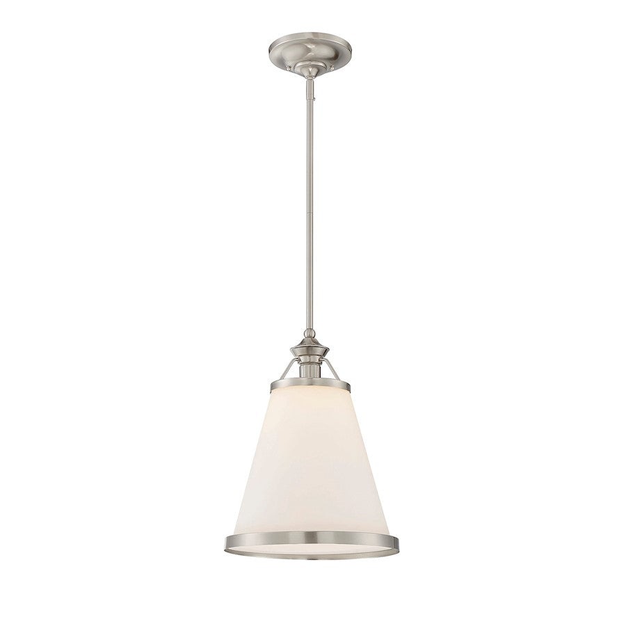 1 Light Pendant