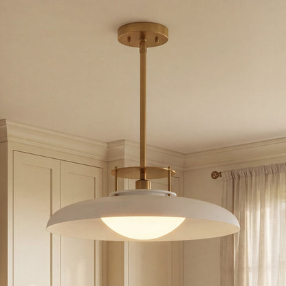 1 Light Pendant, Matte Black