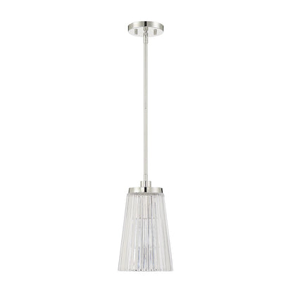 1 Light Pendant, Polished Nickel