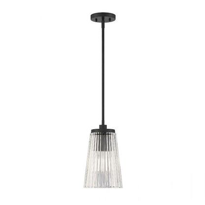 1 Light Pendant, Matte Black