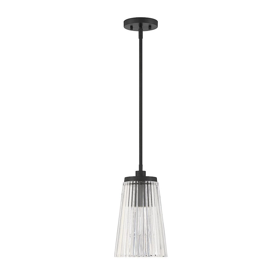 1 Light Pendant, Matte Black