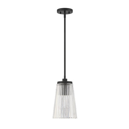 1 Light Pendant, Matte Black