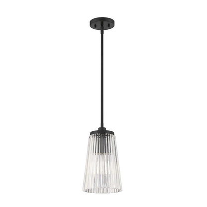 1 Light Pendant, Matte Black