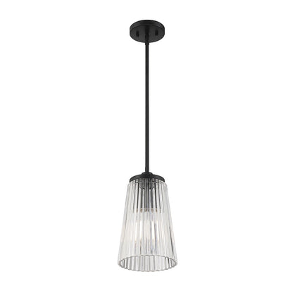 1 Light Pendant, Matte Black